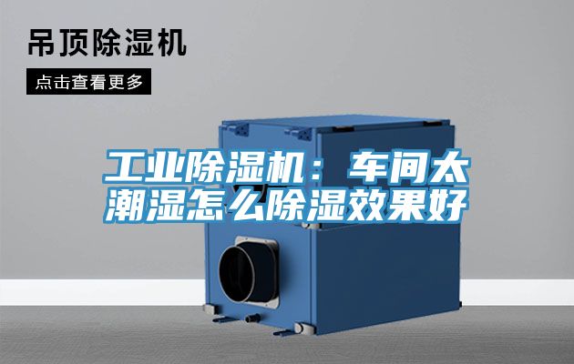工業草莓污视频在线看：車間太潮濕怎麽除濕效果好