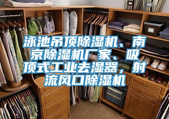 泳池吊頂草莓污视频在线看、南京草莓污视频在线看廠家、吸頂式工業去濕器，射流風口草莓污视频在线看