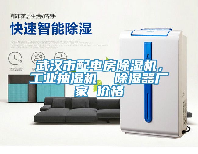 武漢市配電房草莓污视频在线看，工業抽濕機  除濕器廠家 價格