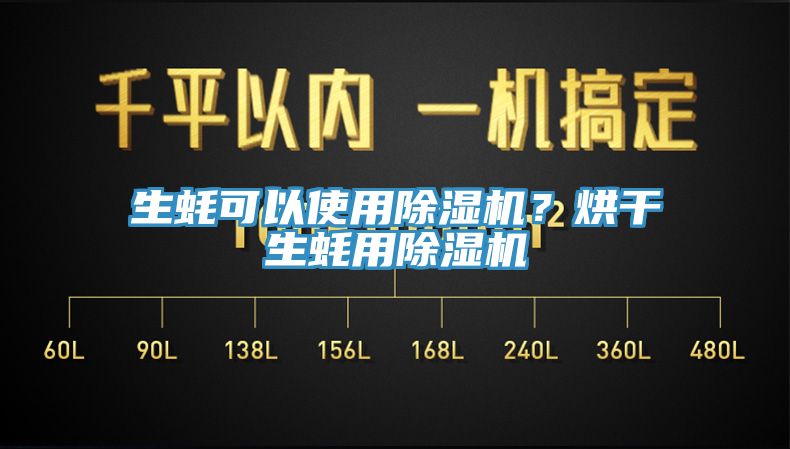 生蠔可以使用草莓污视频在线看？烘幹生蠔用草莓污视频在线看