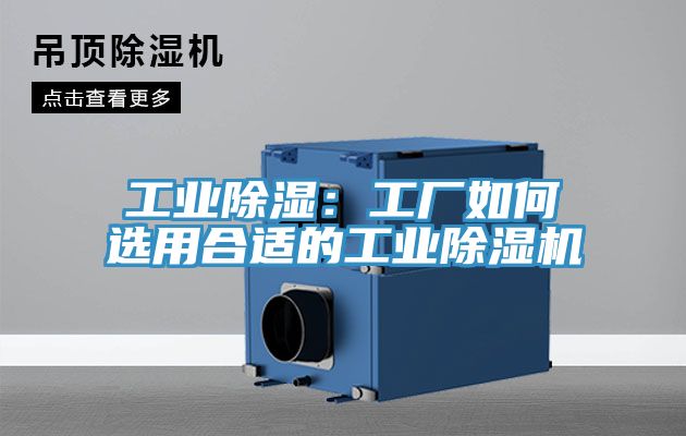 工業除濕：工廠如何選用合適的工業草莓污视频在线看