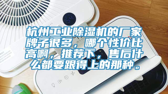 杭州工業草莓污视频在线看的廠家牌子很多，哪個性價比高啊，推薦下，售後什麽都要跟得上的那種。