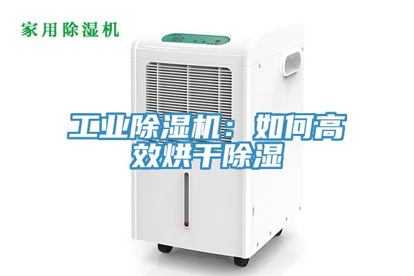 工業草莓污视频在线看：如何高效烘幹除濕