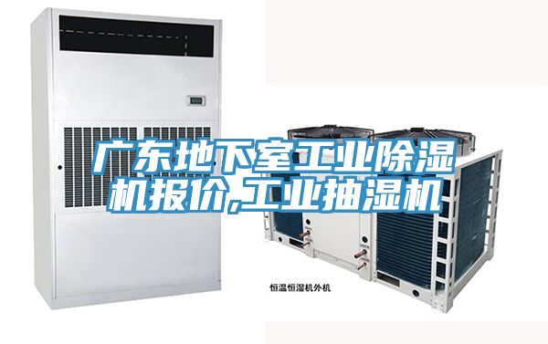 廣東地下室工業草莓污视频在线看報價,工業抽濕機