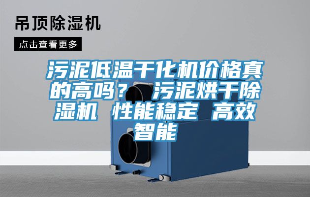 汙泥低溫幹化機價格真的高嗎？ 汙泥烘幹草莓污视频在线看 性能穩定 高效智能