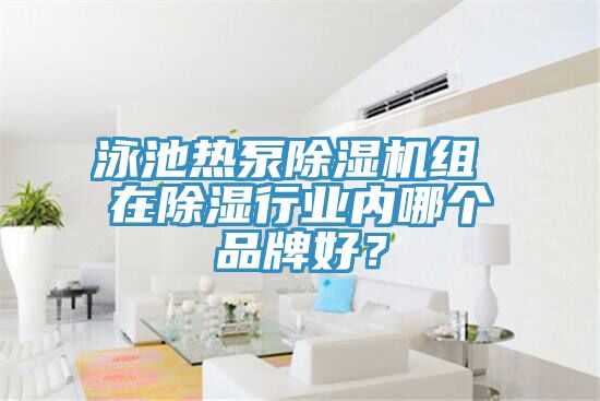 泳池熱泵草莓污视频在线看組 在除濕行業內哪個品牌好？