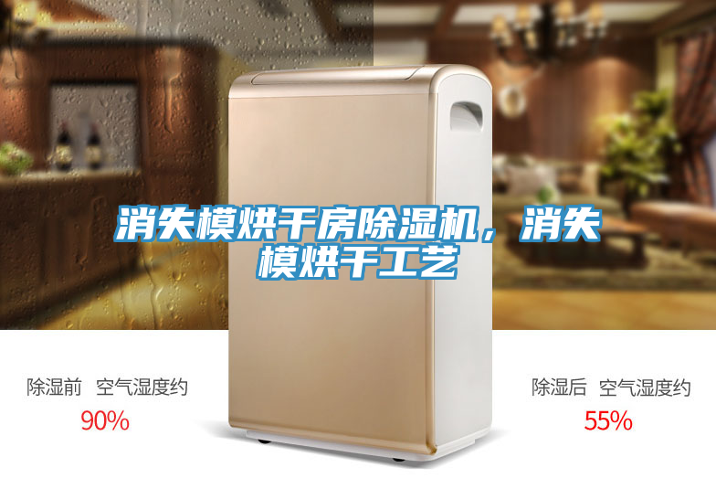 消失模烘幹房草莓污视频在线看，消失模烘幹工藝