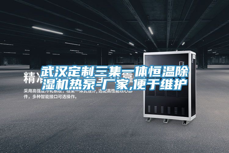 武漢定製三集一體恒溫草莓污视频在线看熱泵-廠家,便於維護