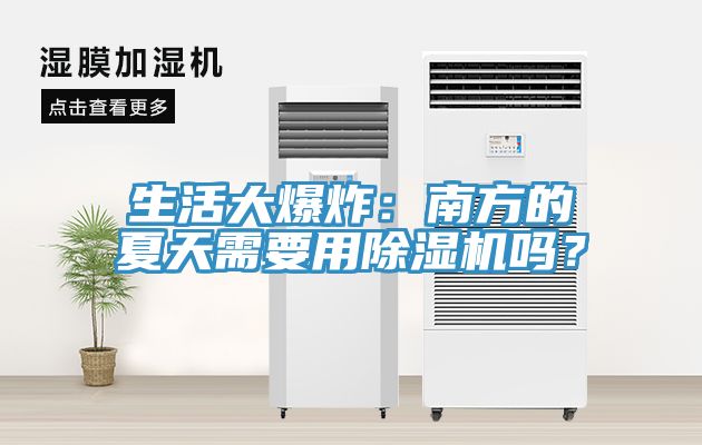 生活大爆炸：南方的夏天需要用草莓污视频在线看嗎？