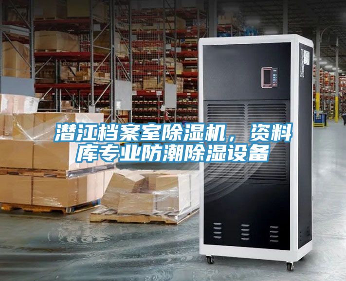 潛江檔案室草莓污视频在线看，資料庫專業防潮除濕設備