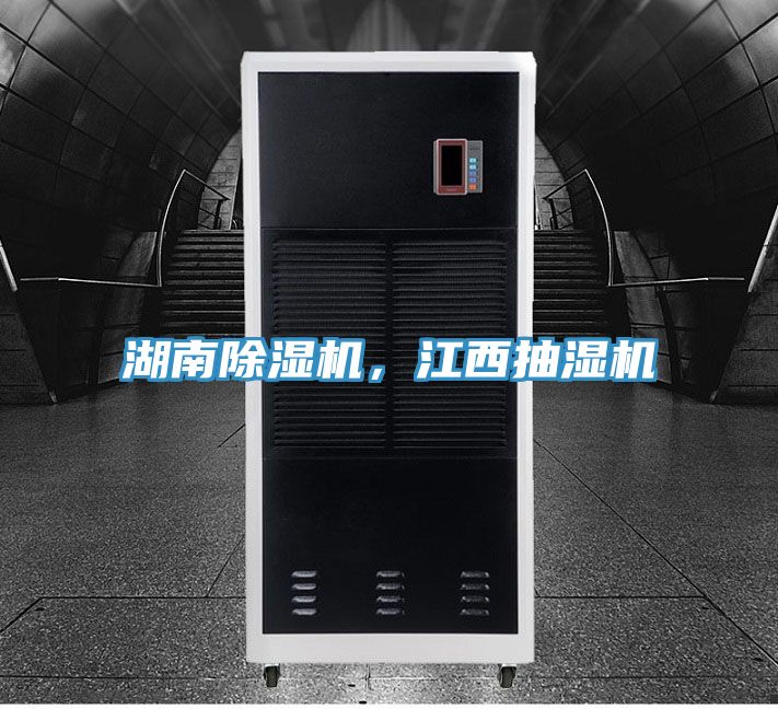 湖南草莓污视频在线看，江西抽濕機