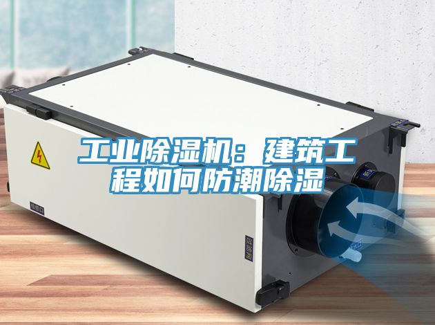 工業草莓污视频在线看：建築工程如何防潮除濕