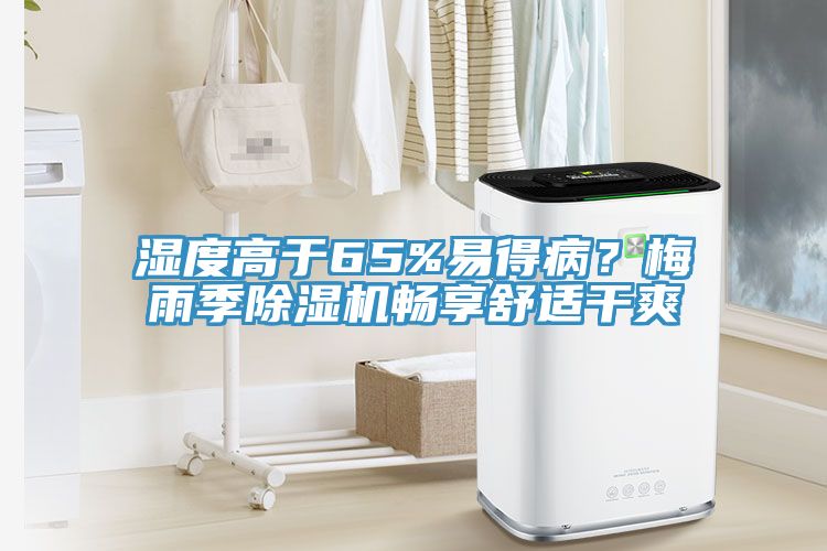 濕度高於65%易得病？梅雨季草莓污视频在线看暢享舒適幹爽