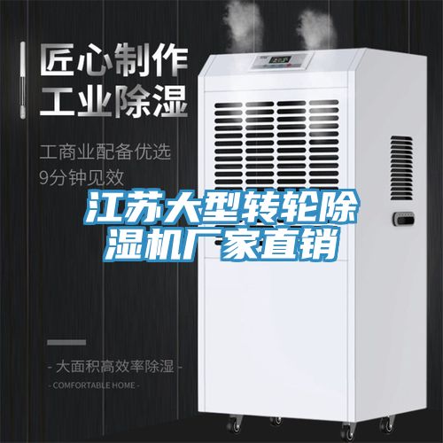 江蘇大型轉輪草莓污视频在线看廠家直銷