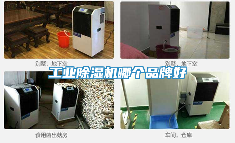 工業草莓污视频在线看哪個品牌好