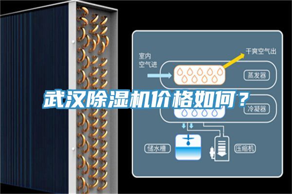 武漢草莓污视频在线看價格如何？