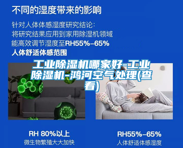 工業草莓污视频在线看哪家好-工業草莓污视频在线看-鴻河空氣處理(查看)