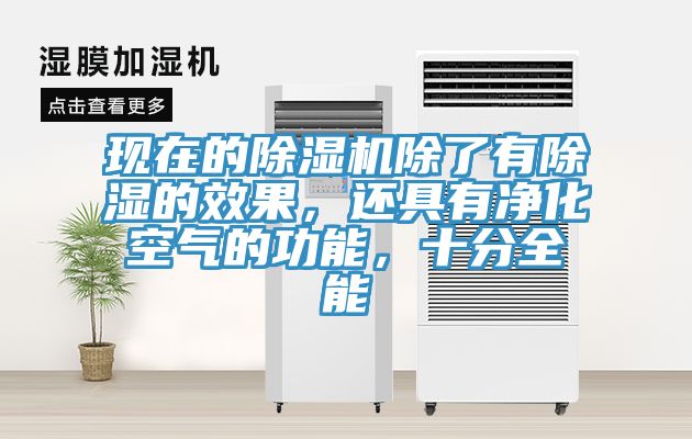 現在的草莓污视频在线看除了有除濕的效果，還具有淨化空氣的功能，十分全能