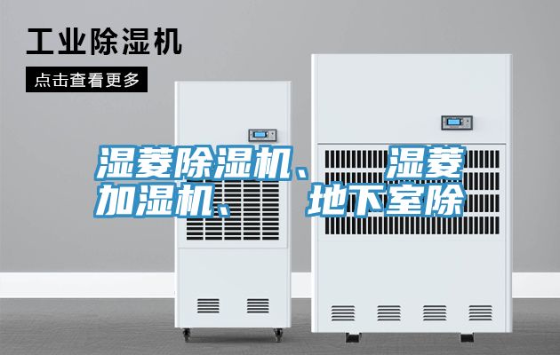 濕菱草莓污视频在线看、  濕菱加濕機、  地下室除