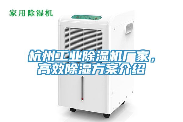 杭州工業草莓污视频在线看廠家，高效除濕方案介紹