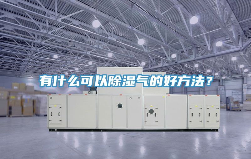 有什麽可以除濕氣的好方法？