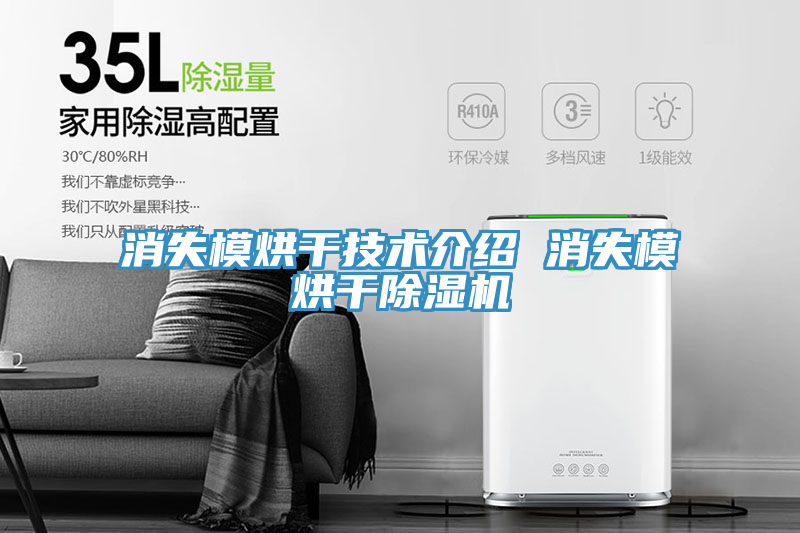 消失模烘幹技術介紹 消失模烘幹草莓污视频在线看