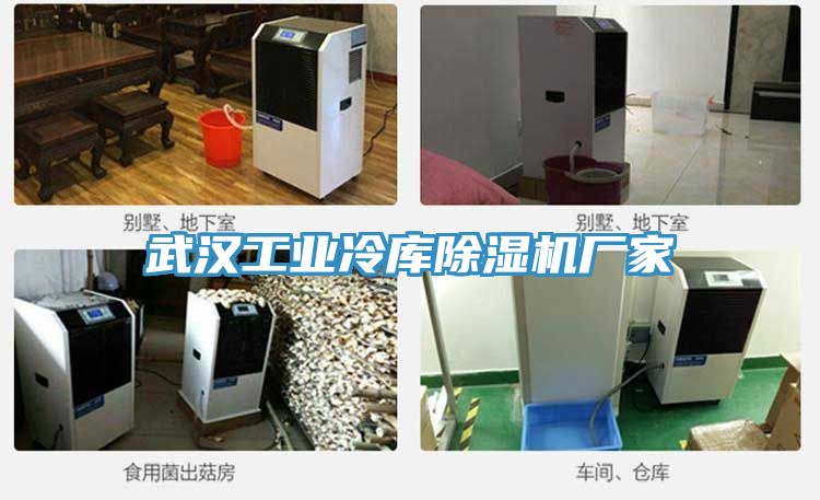 武漢工業冷庫草莓污视频在线看廠家
