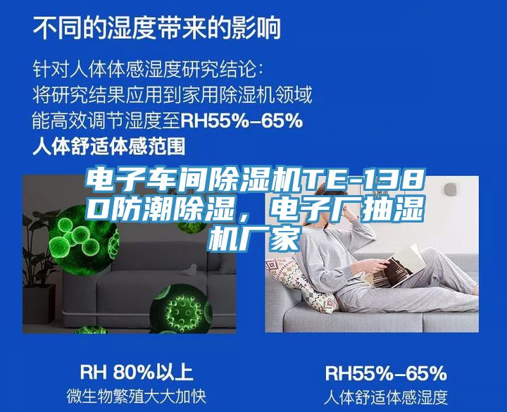 電子車間草莓污视频在线看TE-138D防潮除濕，電子廠抽濕機廠家