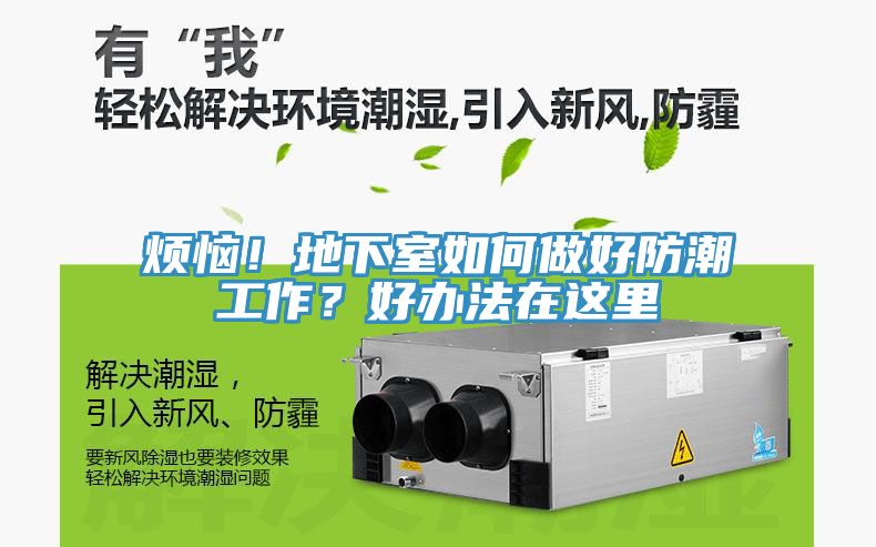 煩惱！地下室如何做好防潮工作？好辦法在這裏