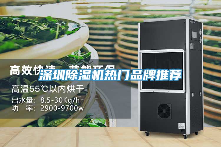 深圳草莓污视频在线看熱門品牌推薦
