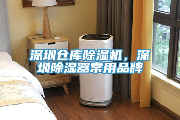 深圳倉庫草莓污视频在线看，深圳除濕器常用品牌