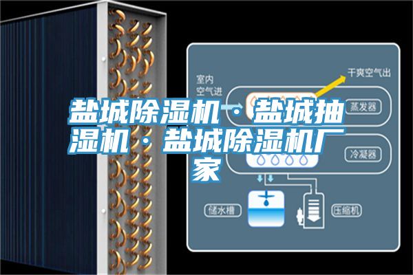 鹽城草莓污视频在线看·鹽城抽濕機·鹽城草莓污视频在线看廠家