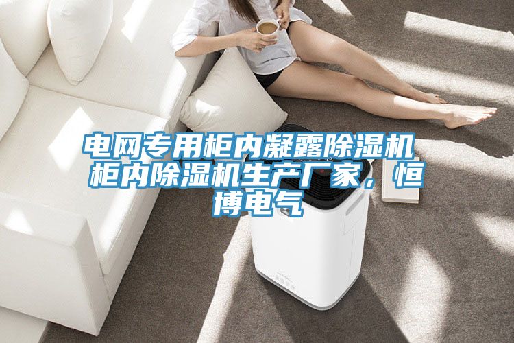 電網專用櫃內凝露草莓污视频在线看 櫃內草莓污视频在线看生產廠家，恒博電氣