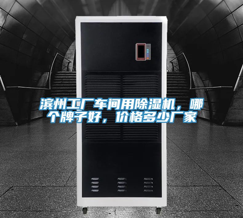 濱州工廠車間用草莓污视频在线看，哪個牌子好，價格多少廠家