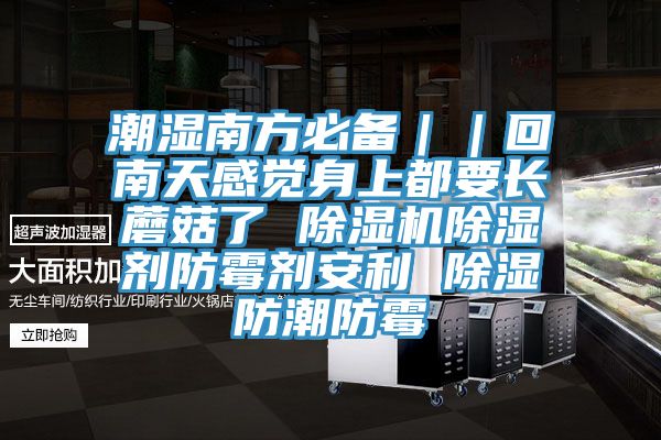 潮濕南方必備｜｜回南天感覺身上都要長蘑菇了 草莓污视频在线看除濕劑防黴劑安利 除濕防潮防黴