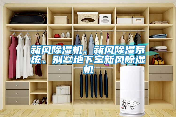 新風草莓污视频在线看、新風除濕係統、別墅地下室新風草莓污视频在线看