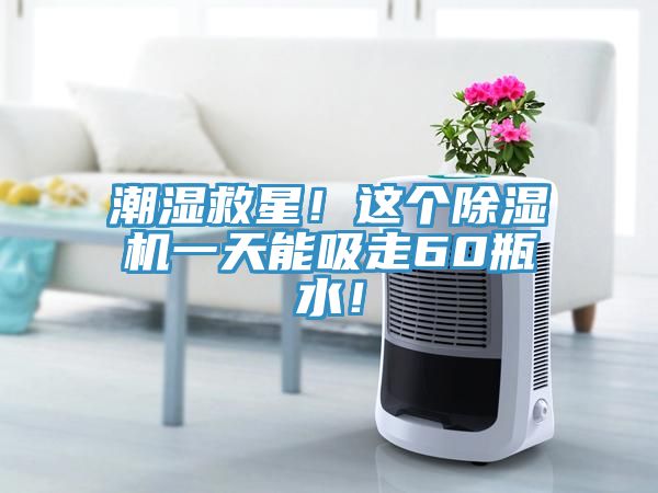 潮濕救星！這個草莓污视频在线看一天能吸走60瓶水！