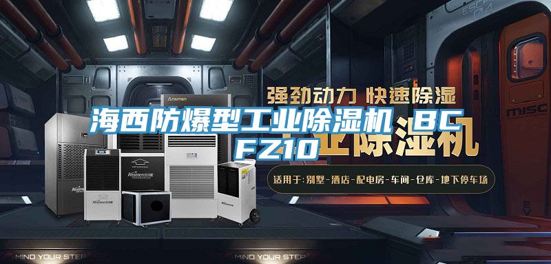 海西防爆型工業草莓污视频在线看 BCFZ10