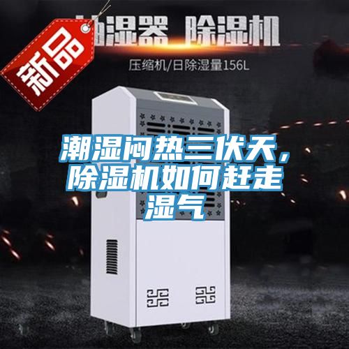 潮濕悶熱三伏天，草莓污视频在线看如何趕走濕氣