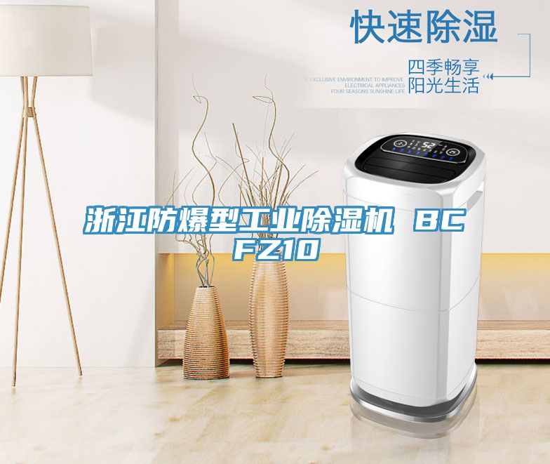 浙江防爆型工業草莓污视频在线看 BCFZ10
