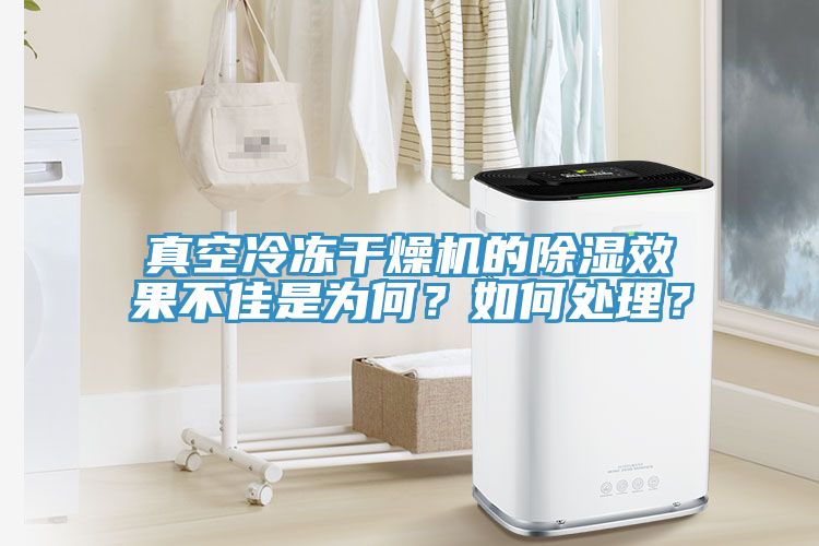 真空冷凍幹燥機的除濕效果不佳是為何？如何處理？