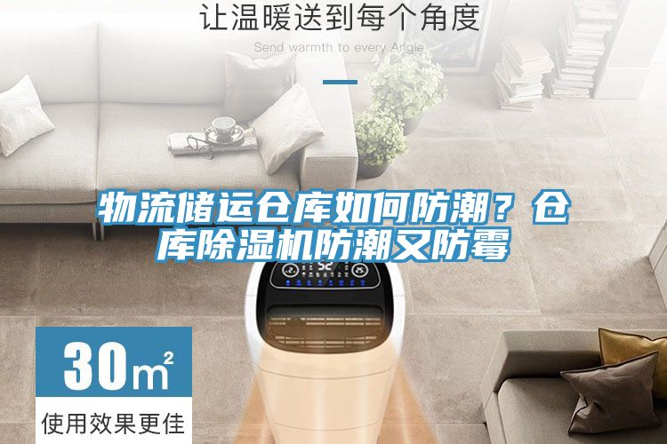 物流儲運倉庫如何防潮？倉庫草莓污视频在线看防潮又防黴