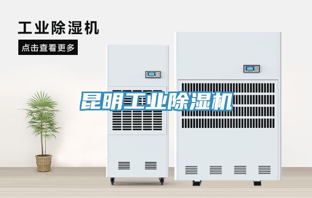 昆明工業草莓污视频在线看