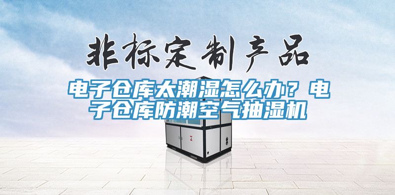 電子倉庫太潮濕怎麽辦？電子倉庫防潮空氣抽濕機