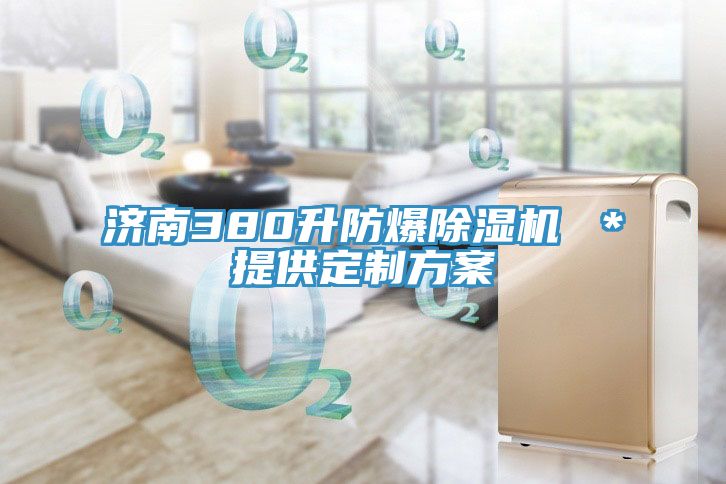 濟南380升防爆草莓污视频在线看 ＊提供定製方案