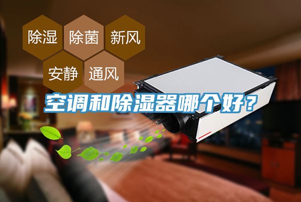 空調和除濕器哪個好？