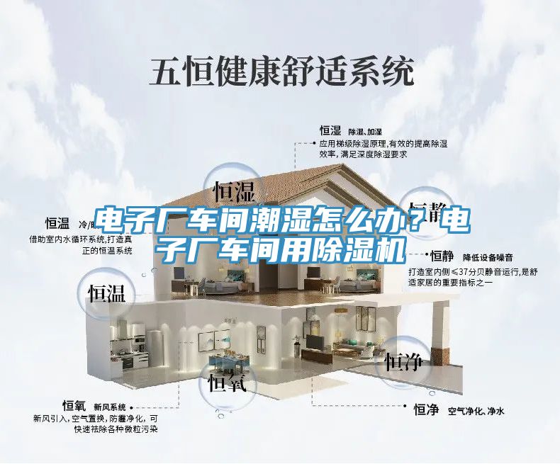 電子廠車間潮濕怎麽辦？電子廠車間用草莓污视频在线看