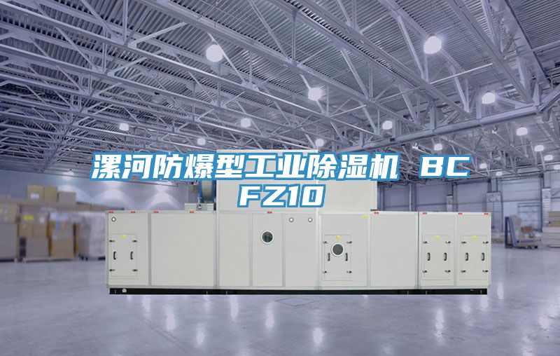 漯河防爆型工業草莓污视频在线看 BCFZ10