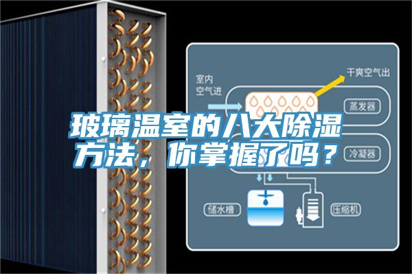 玻璃溫室的八大除濕方法，你掌握了嗎？