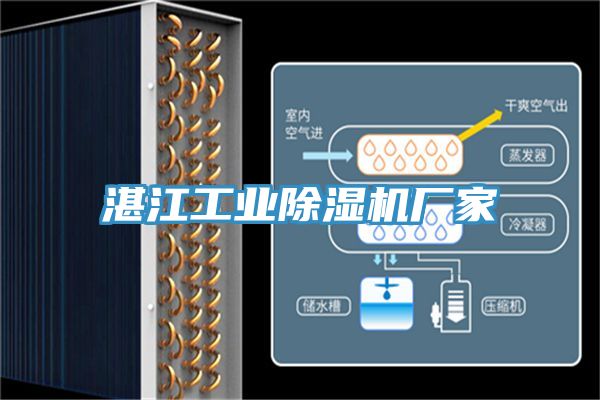 湛江工業草莓污视频在线看廠家